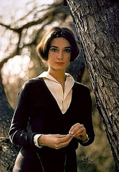 33-1058 Audrey Hepburn and Mel Ferrer