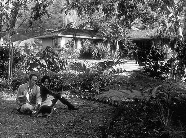 3604-99 "My Fair Lady" Audrey Hepburn and Rex Harrison