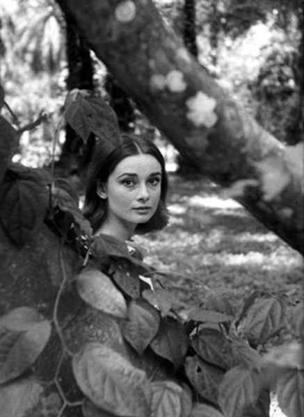 Audrey Hepburn