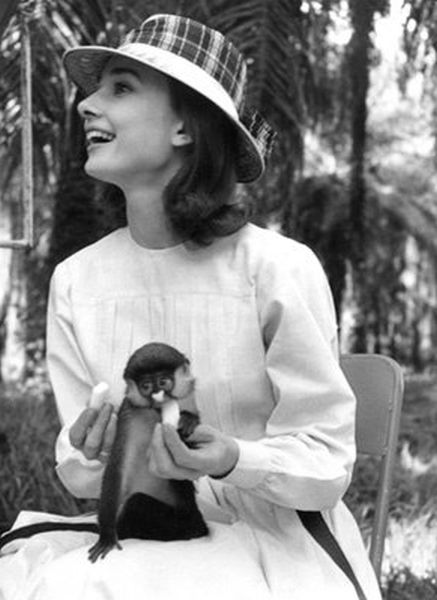 Audrey Hepburn