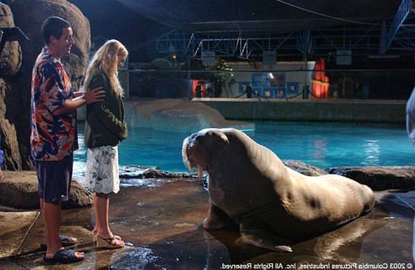 Still of Drew Barrymore and Adam Sandler in 50 First Dates