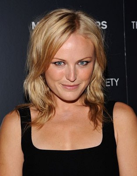 Malin Akerman at event of Iron Man