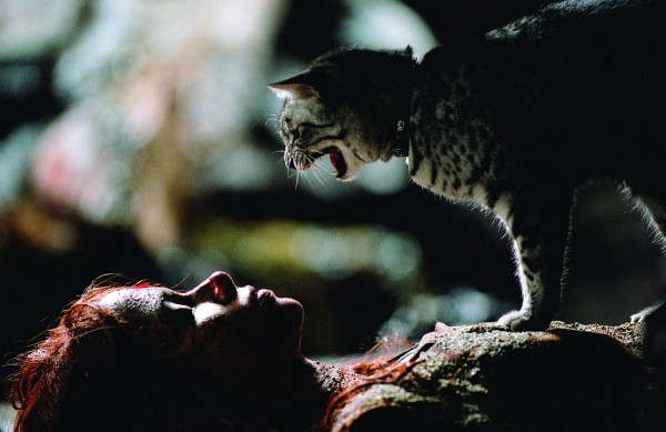 Still of Halle Berry in Catwoman