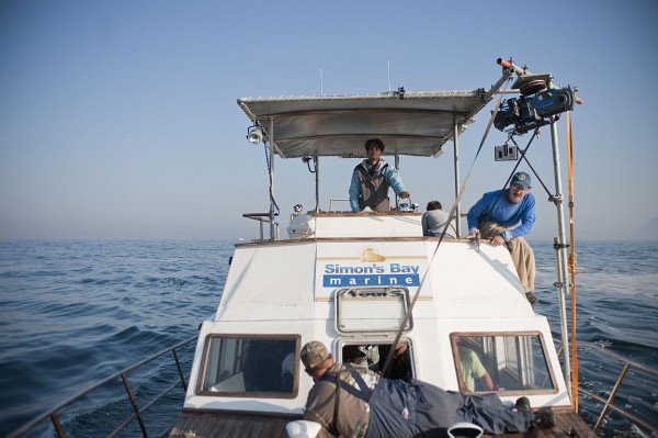 Still of Halle Berry in Dark Tide