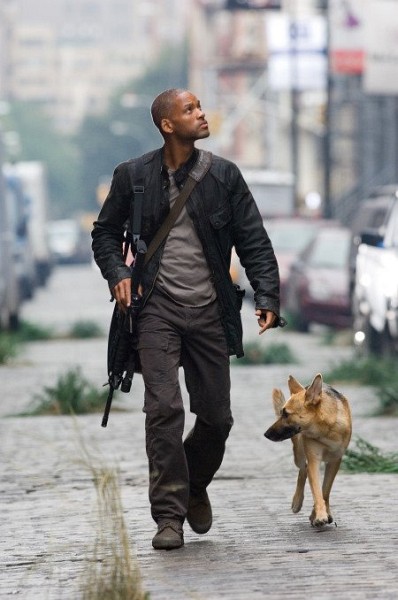 Still of Will Smith in I Am Legend