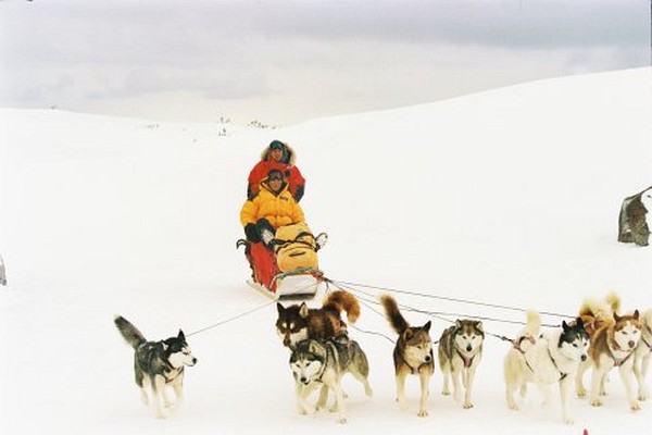 Still of Bruce Greenwood and Paul Walker in Eight Below