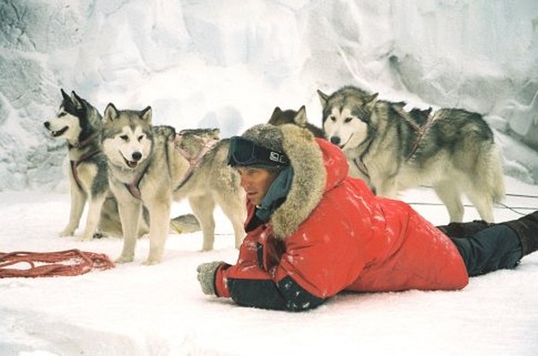 Still of Paul Walker in Eight Below